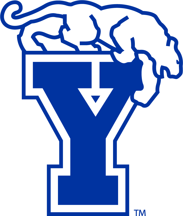 Brigham Young Cougars 1982-1999 Secondary Logo t shirts iron on transfers...